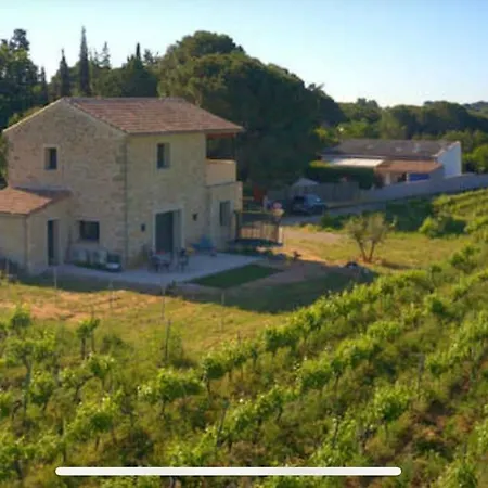 Villa Grange Au Milieu Des Vignes *
